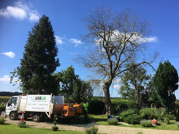 Tree surgeons in Oxford
